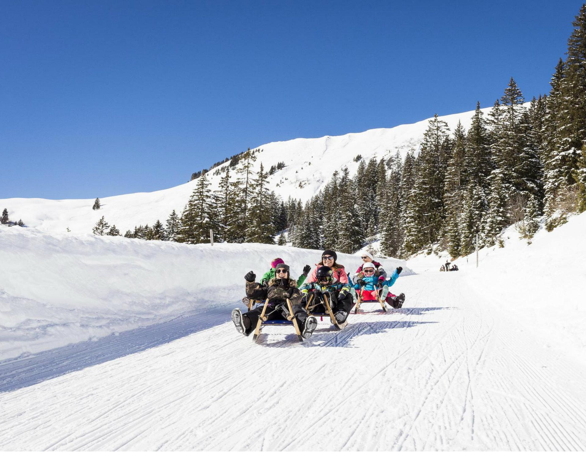 Luge standard en groupe 