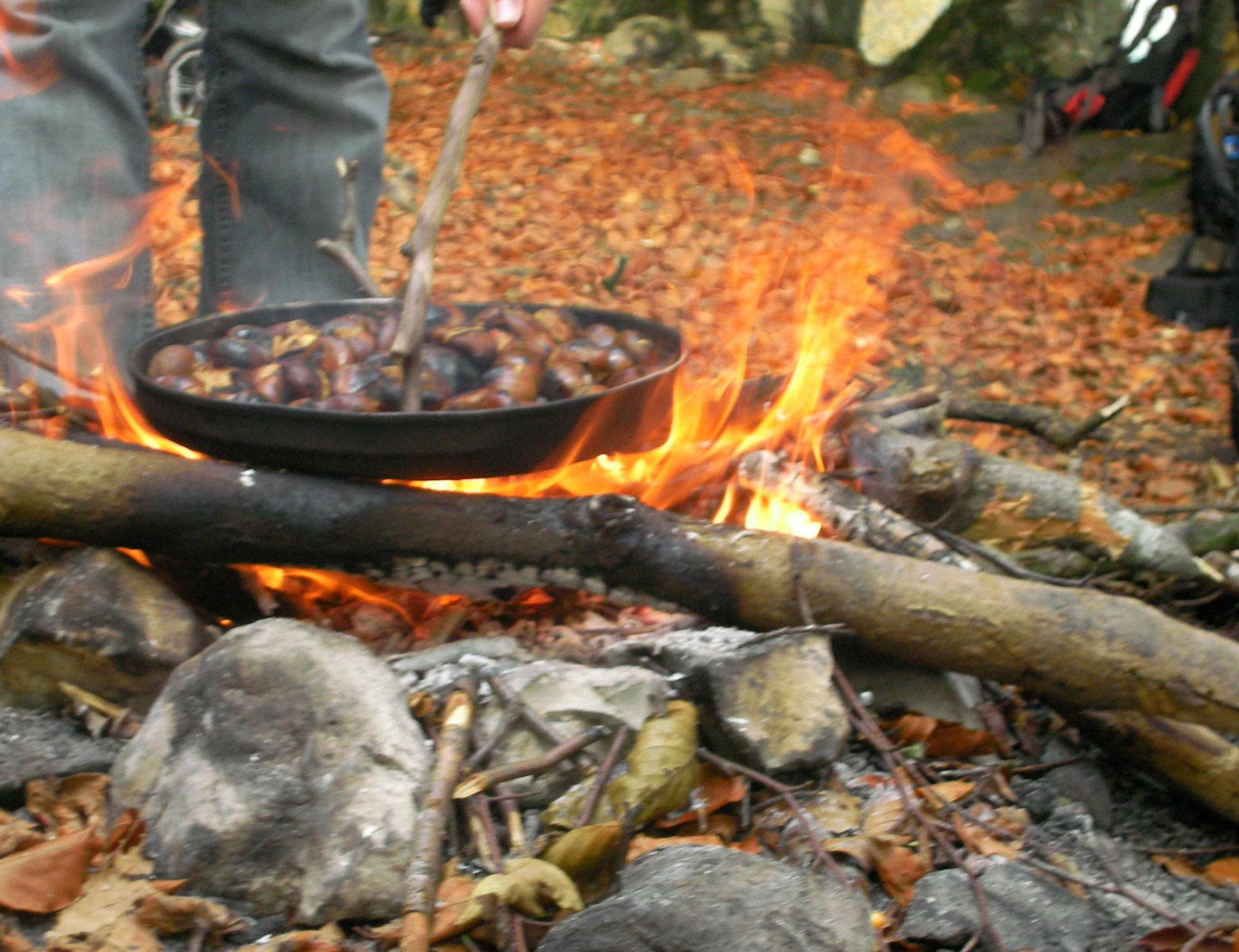 Journée en forêt en famille