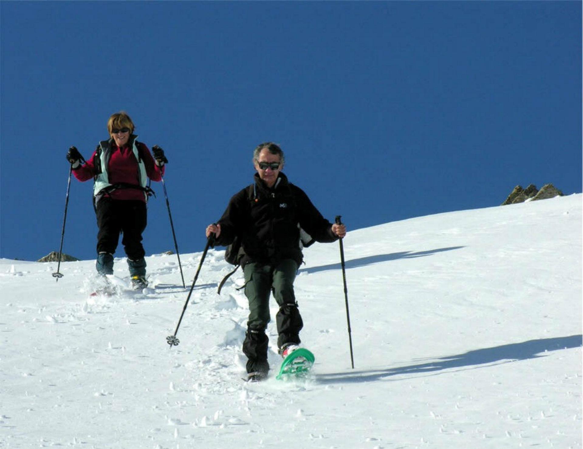 Circuit en raquettes à Amden avec huskies