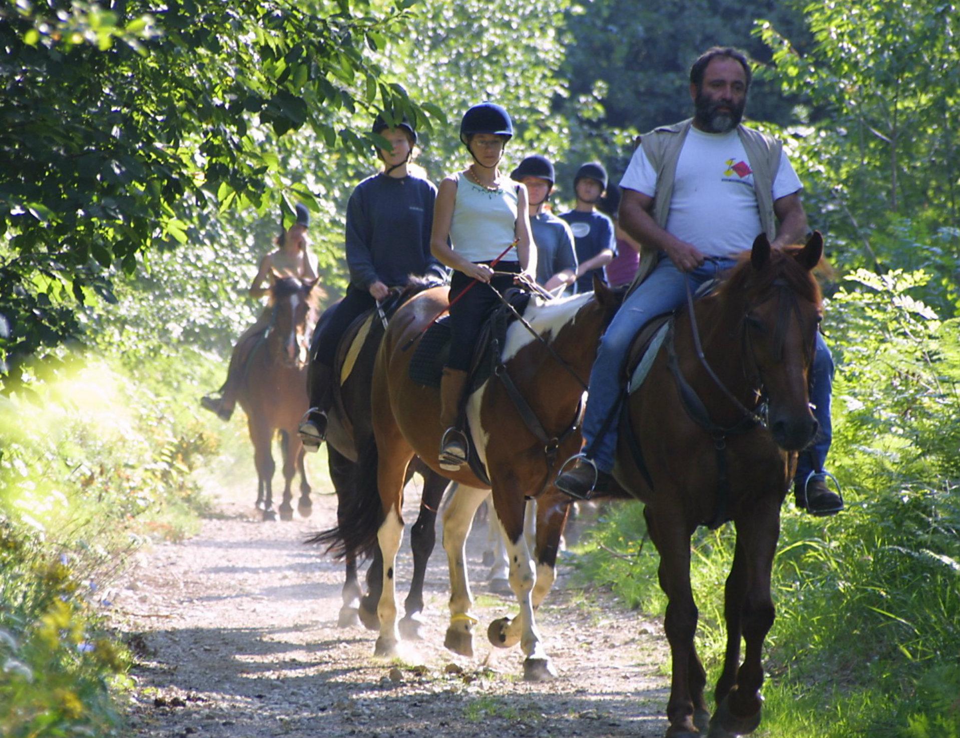 Randonnée à cheval avec repas