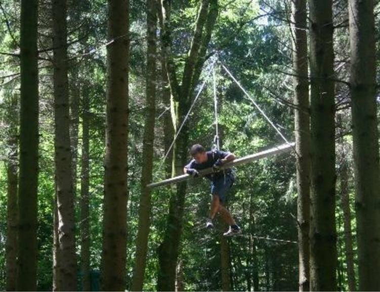 Parcours dans les arbres